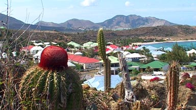 View from Babit Point